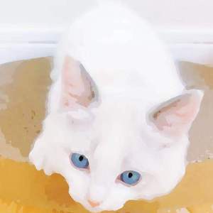 zxfuil福利在线观看午夜
